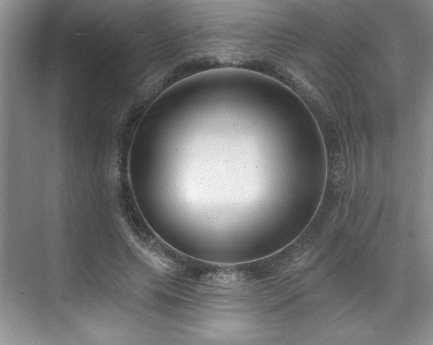 X0000073830639200608101204