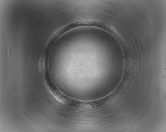 X0000073830640200608101204