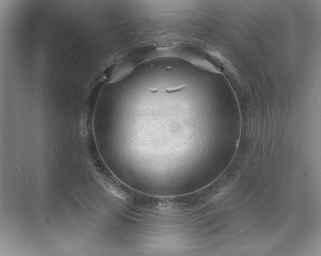 X0000073830641200608101204