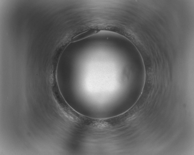 X0000073830642200608101204