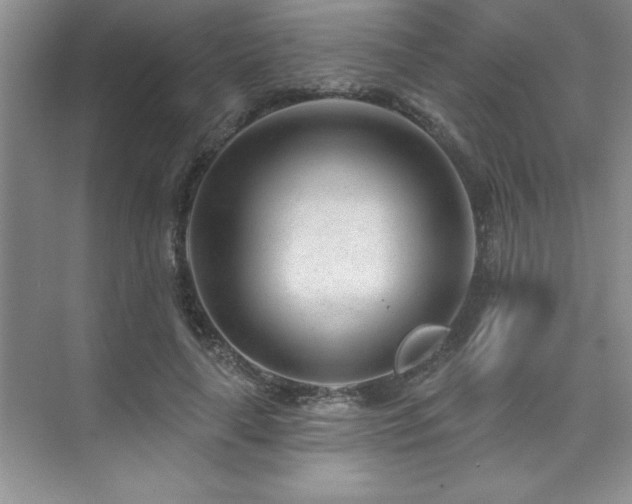 X0000073830643200608101204