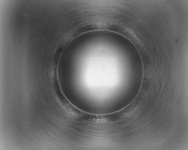 X0000073830645200608101204