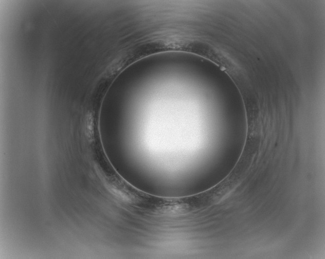 X0000073830646200608101204