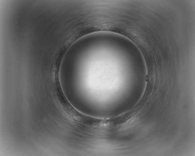 X0000073830647200608101204