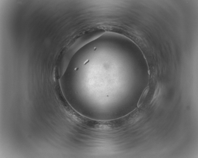 X0000073830649200608101204