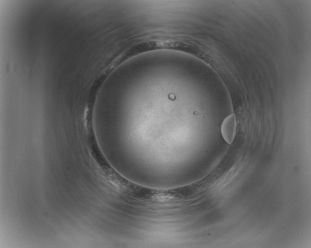 X0000073830650200608101204