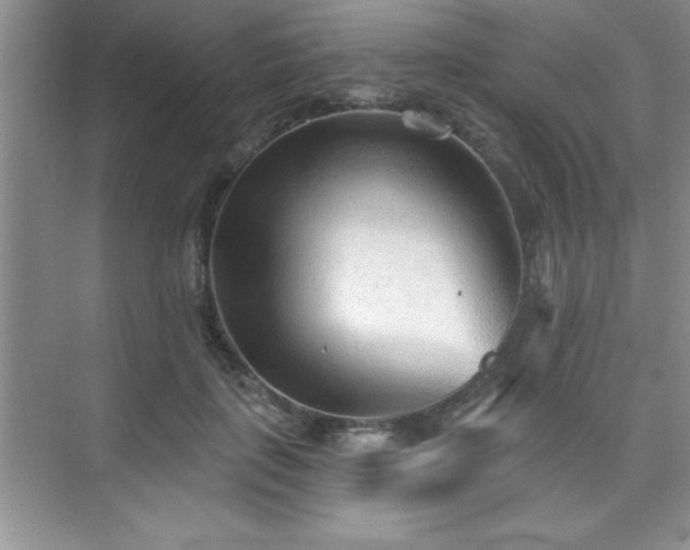 X0000073830651200608101204