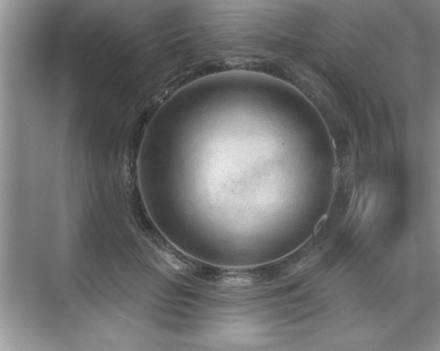 X0000073830653200608101204