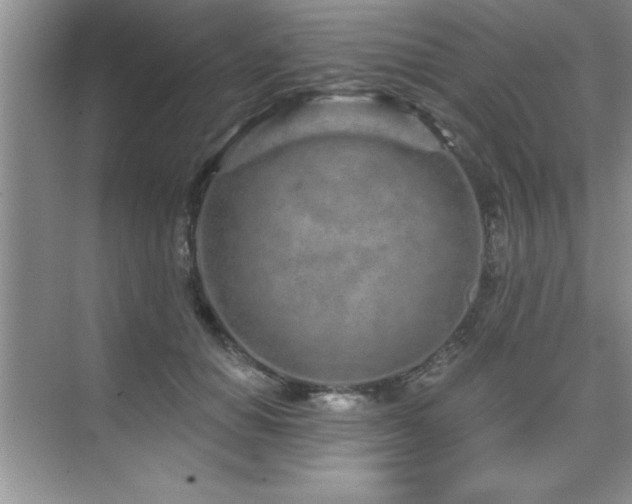 X0000073830654200608101205