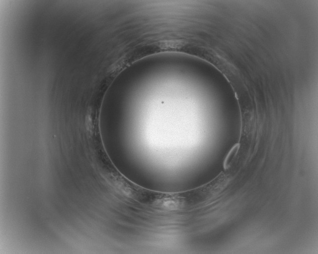 X0000073830655200608101205