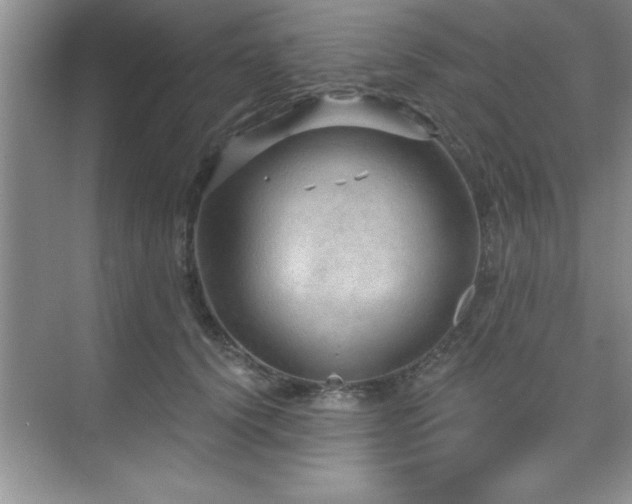 X0000073830656200608101205