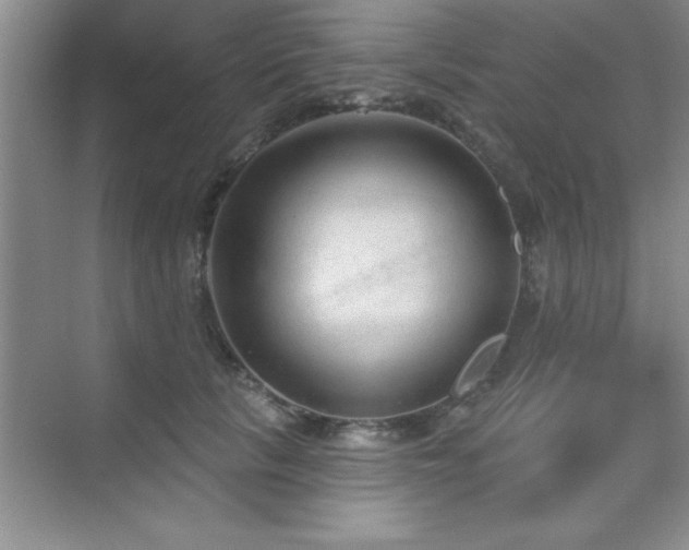 X0000073830657200608101205