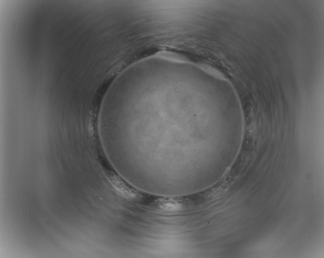 X0000073830658200608101205