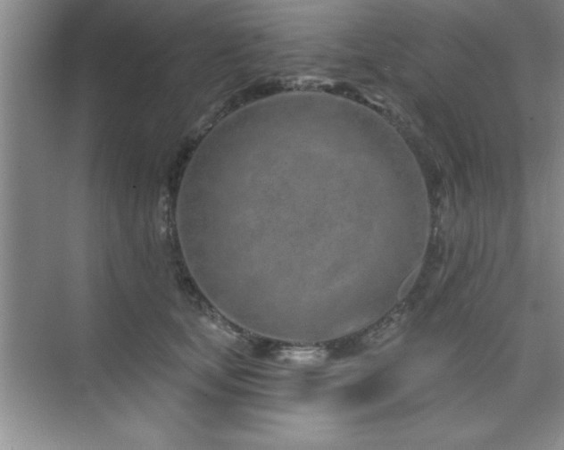 X0000073830659200608101205