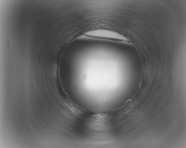 X0000073830660200608101205