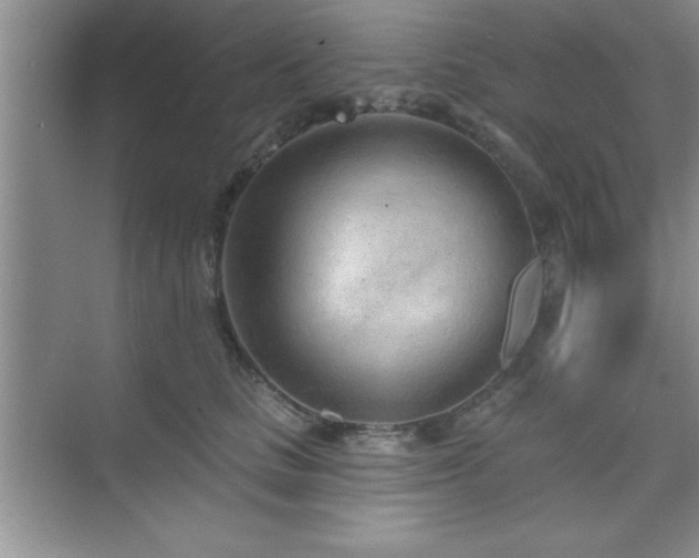 X0000073830661200608101205