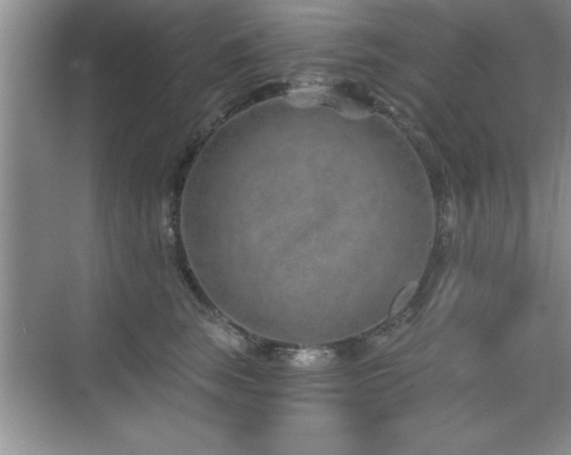 X0000073830663200608101205