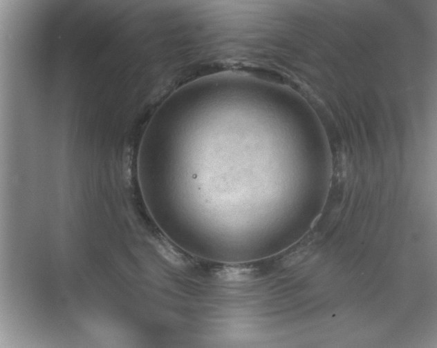 X0000073830664200608101205