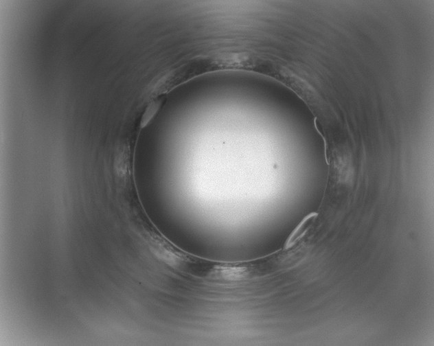 X0000073830665200608101205