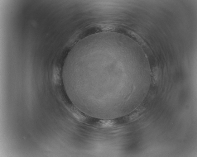 X0000073830667200608101205