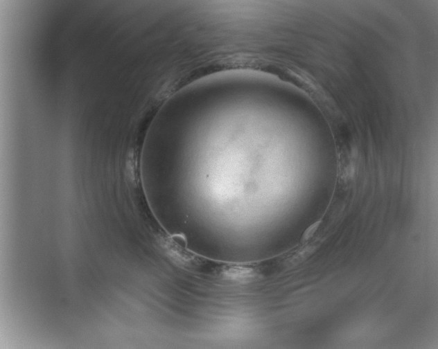 X0000073830669200608101205