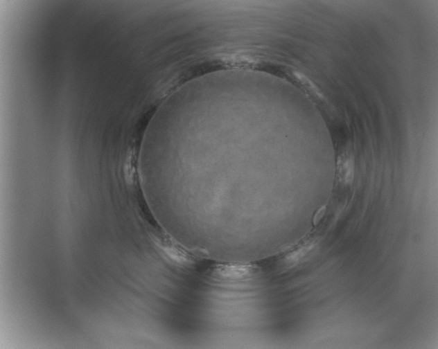 X0000073830671200608101205