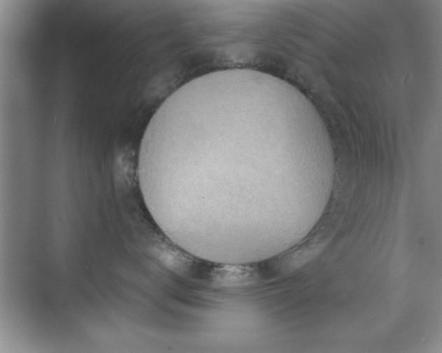 X0000073830672200608101205