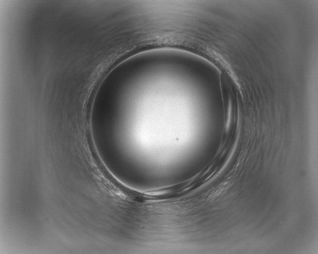 X0000073830673200608101204