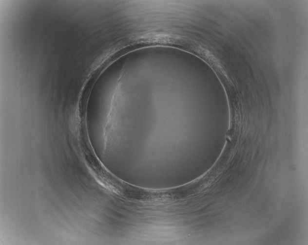 X0000073830674200608101204