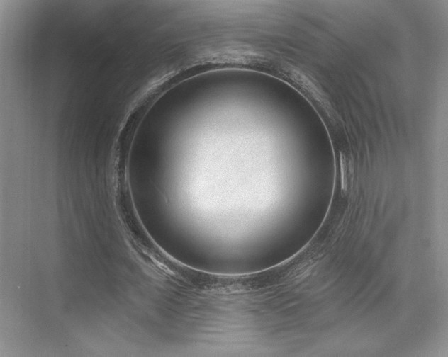 X0000073830675200608101204