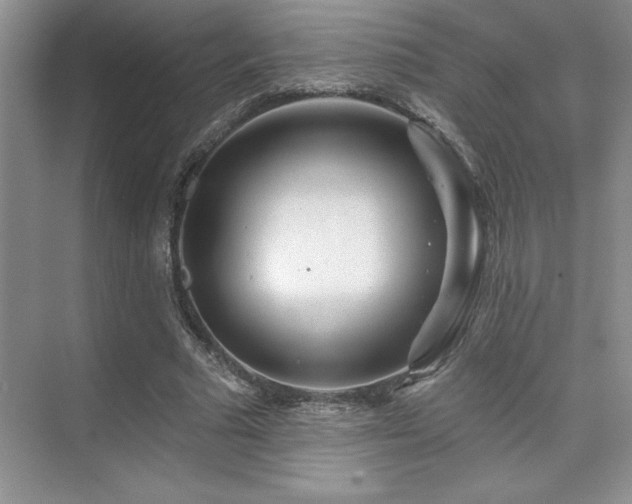 X0000073830681200608101204