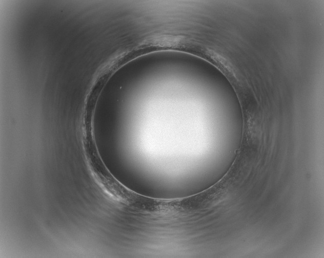 X0000073830682200608101204