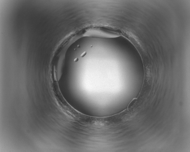 X0000073830684200608101204