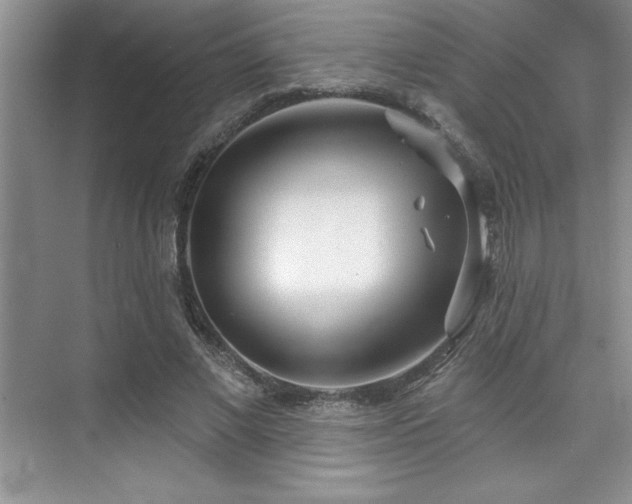 X0000073830685200608101204