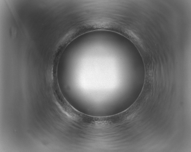 X0000073830686200608101204