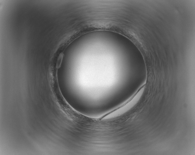 X0000073830688200608101204