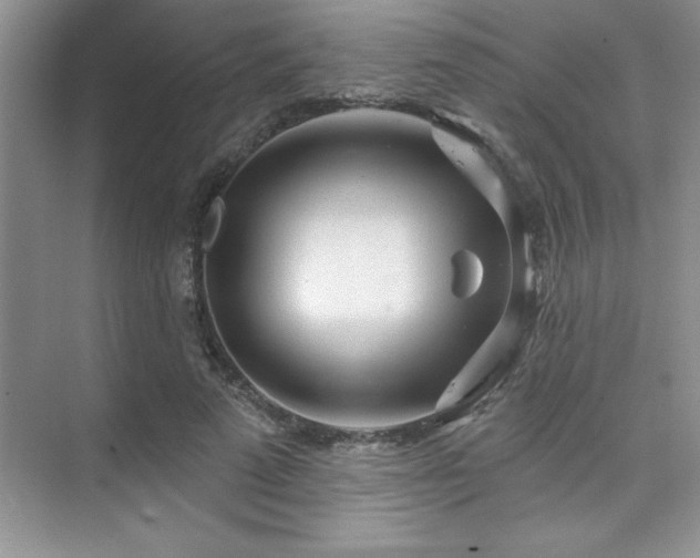 X0000073830689200608101204