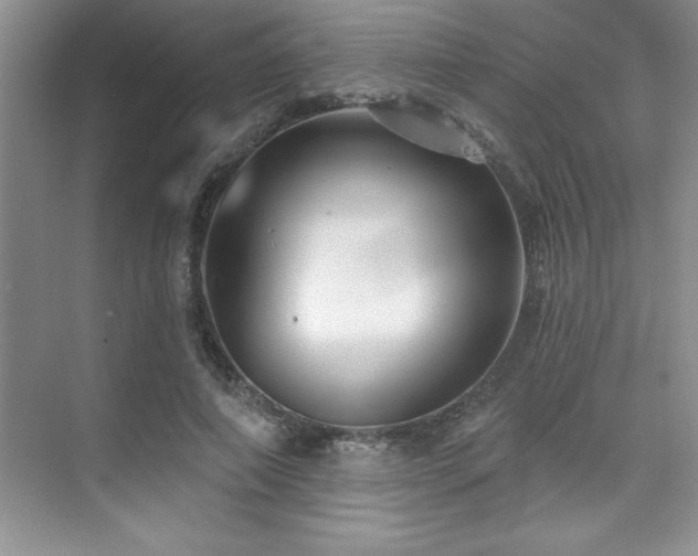 X0000073830690200608101204