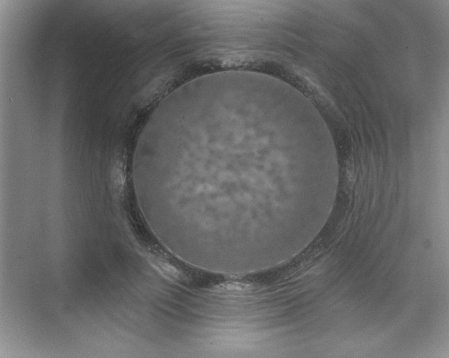 X0000073830691200608101204