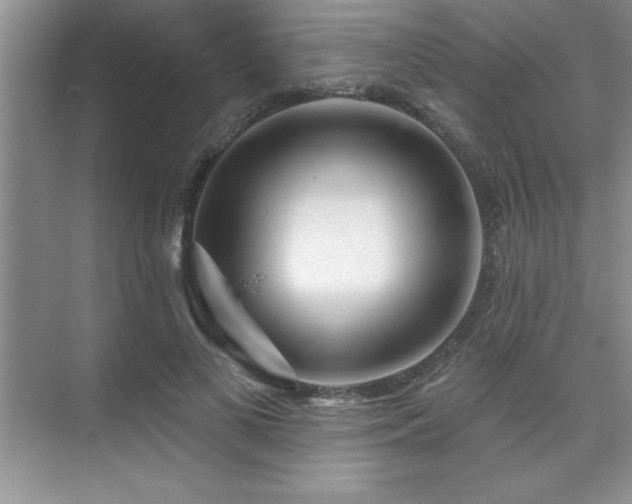 X0000073830693200608101204