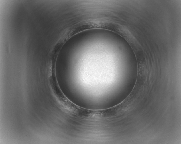 X0000073830694200608101204