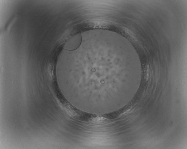 X0000073830695200608101204