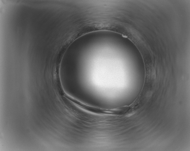 X0000073830700200608101204