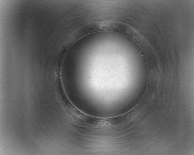 X0000073830702200608101204