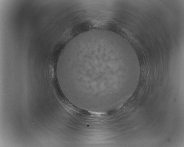 X0000073830703200608101203