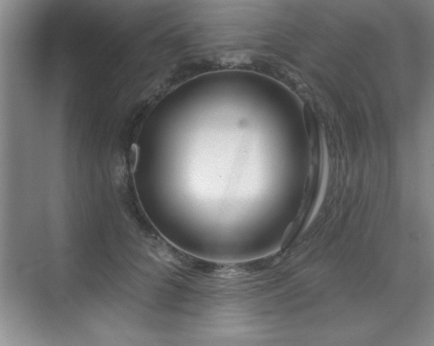 X0000073830704200608101203