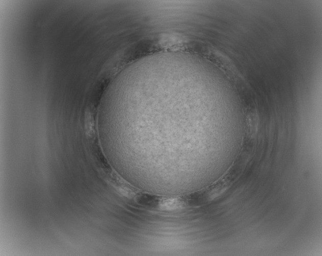 X0000073830705200608101203