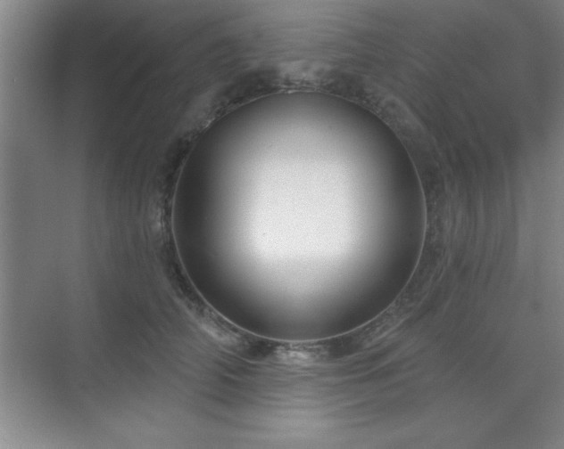 X0000073830706200608101203