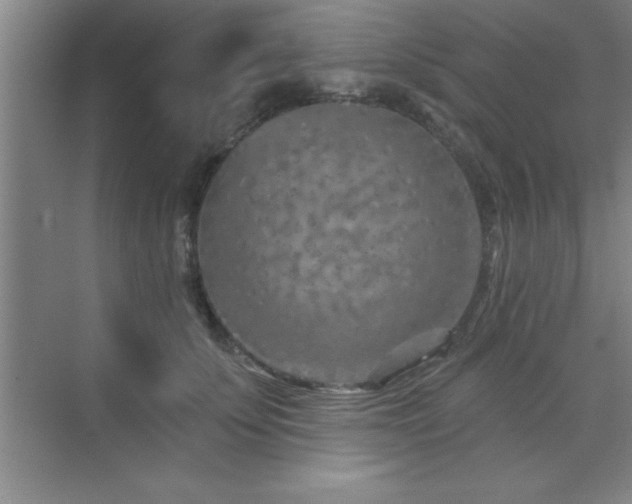 X0000073830707200608101203