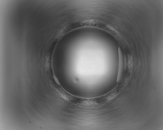 X0000073830708200608101203